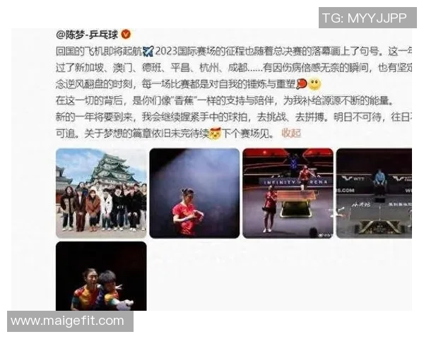 成都乒乓球队在联赛中的节奏表现分析与未来展望