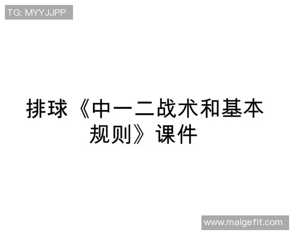 武汉排球队在冠军赛中的战术分析与表现评估