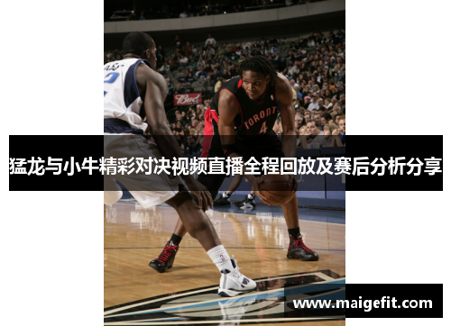 猛龙与小牛精彩对决视频直播全程回放及赛后分析分享